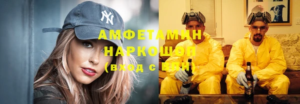 трава Осинники